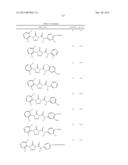 TETRAZOLONES AS INHIBITORS OF FATTY ACID SYNTHASE diagram and image