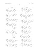 TETRAZOLONES AS INHIBITORS OF FATTY ACID SYNTHASE diagram and image