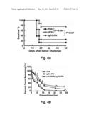 TARGETED INTERFERONS DEMONSTRATE POTENT APOPTOTIC AND ANTI-TUMOR     ACTIVITIES diagram and image