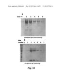 TARGETED INTERFERONS DEMONSTRATE POTENT APOPTOTIC AND ANTI-TUMOR     ACTIVITIES diagram and image