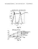 TARGETED INTERFERONS DEMONSTRATE POTENT APOPTOTIC AND ANTI-TUMOR     ACTIVITIES diagram and image