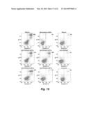 TARGETED INTERFERONS DEMONSTRATE POTENT APOPTOTIC AND ANTI-TUMOR     ACTIVITIES diagram and image