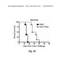 TARGETED INTERFERONS DEMONSTRATE POTENT APOPTOTIC AND ANTI-TUMOR     ACTIVITIES diagram and image