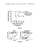 TARGETED INTERFERONS DEMONSTRATE POTENT APOPTOTIC AND ANTI-TUMOR     ACTIVITIES diagram and image