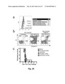 TARGETED INTERFERONS DEMONSTRATE POTENT APOPTOTIC AND ANTI-TUMOR     ACTIVITIES diagram and image