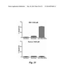 TARGETED INTERFERONS DEMONSTRATE POTENT APOPTOTIC AND ANTI-TUMOR     ACTIVITIES diagram and image