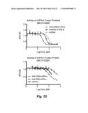 TARGETED INTERFERONS DEMONSTRATE POTENT APOPTOTIC AND ANTI-TUMOR     ACTIVITIES diagram and image