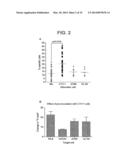 Method for Activating Natural Killer Cells by Tumor Cell Preparation In     Vitro diagram and image