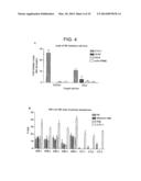 Method for Activating Natural Killer Cells by Tumor Cell Preparation In     Vitro diagram and image