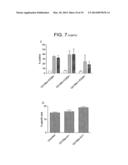 Method for Activating Natural Killer Cells by Tumor Cell Preparation In     Vitro diagram and image