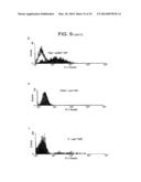 Method for Activating Natural Killer Cells by Tumor Cell Preparation In     Vitro diagram and image