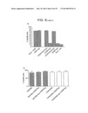 Method for Activating Natural Killer Cells by Tumor Cell Preparation In     Vitro diagram and image