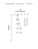 INHIBITORS OF BRUTON S TYROSINE KINASE FOR THE TREATMENT OF SOLID TUMORS diagram and image