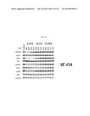 INHIBITORS OF BRUTON S TYROSINE KINASE FOR THE TREATMENT OF SOLID TUMORS diagram and image