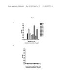 ANTI-CD147 ANTIBODIES, METHODS AND USES diagram and image