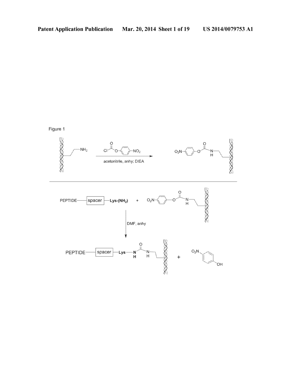 BMP BINDING PEPTIDES - diagram, schematic, and image 02