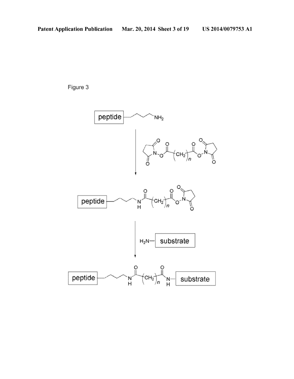 BMP BINDING PEPTIDES - diagram, schematic, and image 04