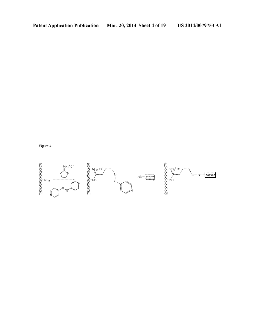 BMP BINDING PEPTIDES - diagram, schematic, and image 05