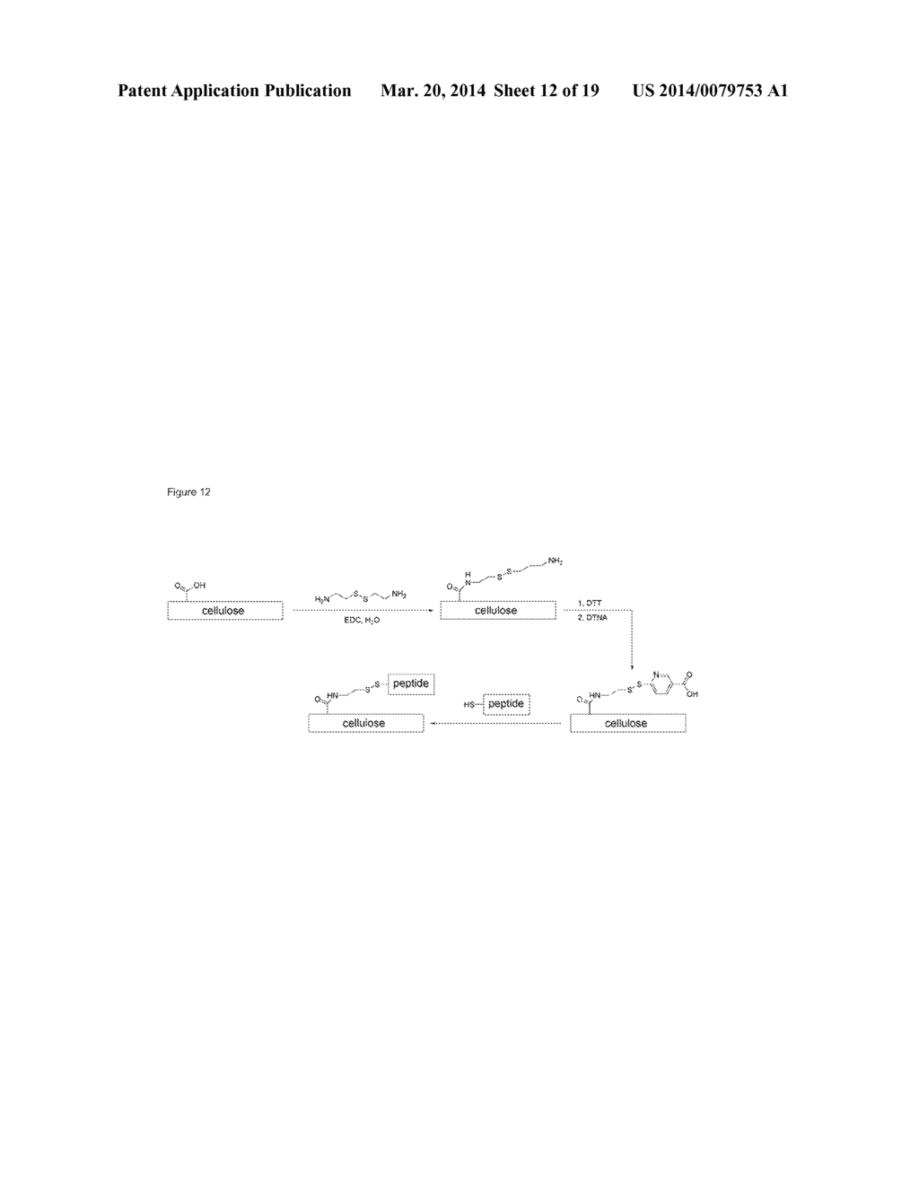 BMP BINDING PEPTIDES - diagram, schematic, and image 13