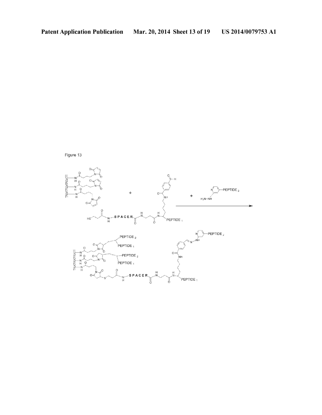 BMP BINDING PEPTIDES - diagram, schematic, and image 14