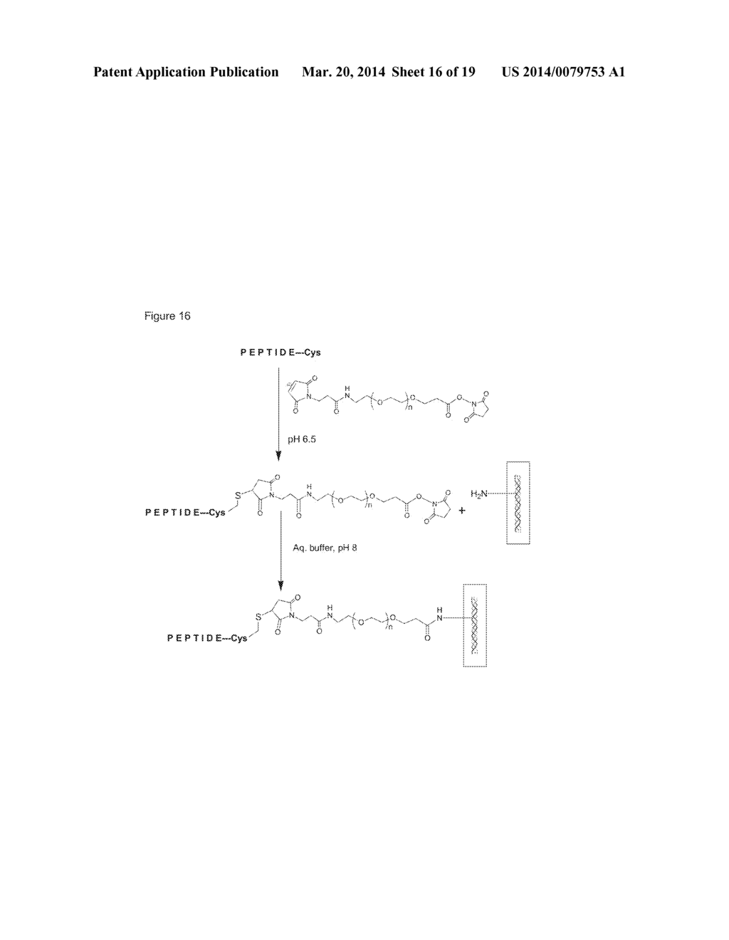 BMP BINDING PEPTIDES - diagram, schematic, and image 17