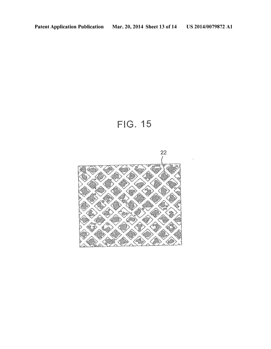 METHOD FOR MANUFACTURING LITHIUM ION SECONDARY BATTERY - diagram, schematic, and image 14