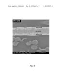 Dual Layered ePTFE Polyelectrolyte Membranes diagram and image