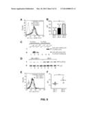 Polymorphisms in the FCGR2B Promoter and Uses Thereof diagram and image