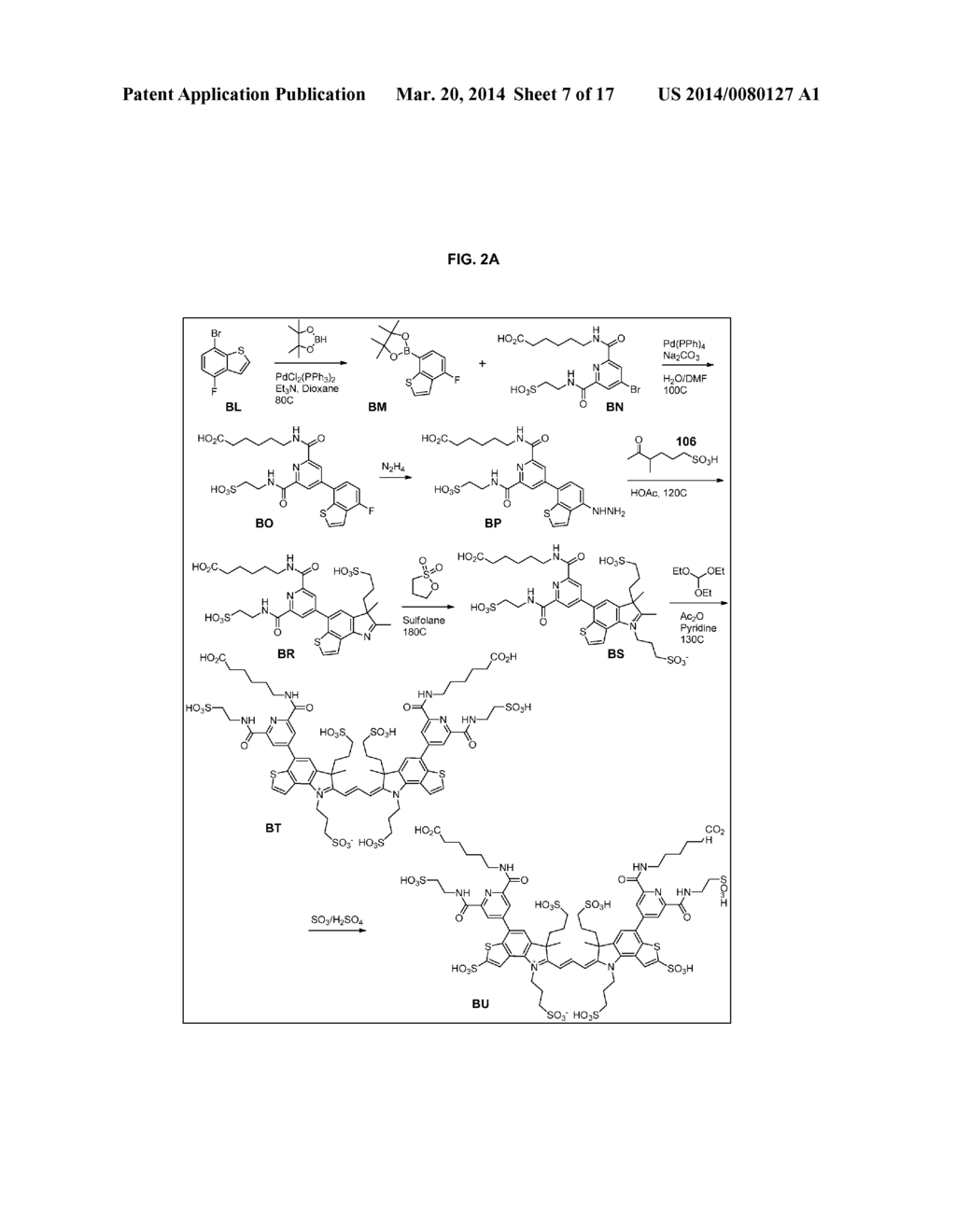 HETEROARYLCYANINE DYES - diagram, schematic, and image 08