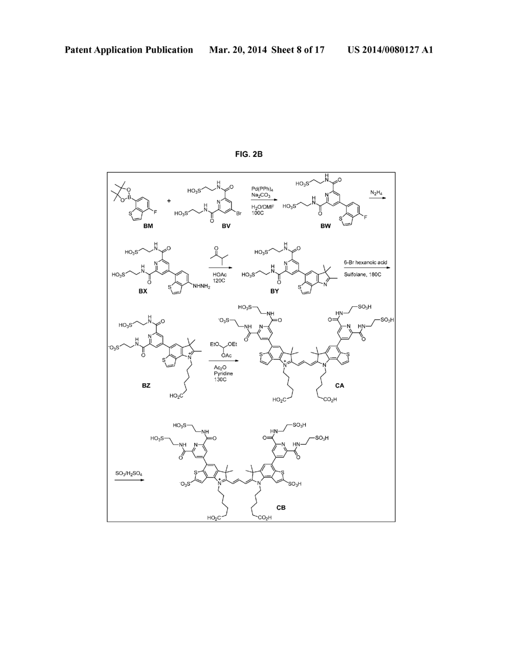HETEROARYLCYANINE DYES - diagram, schematic, and image 09