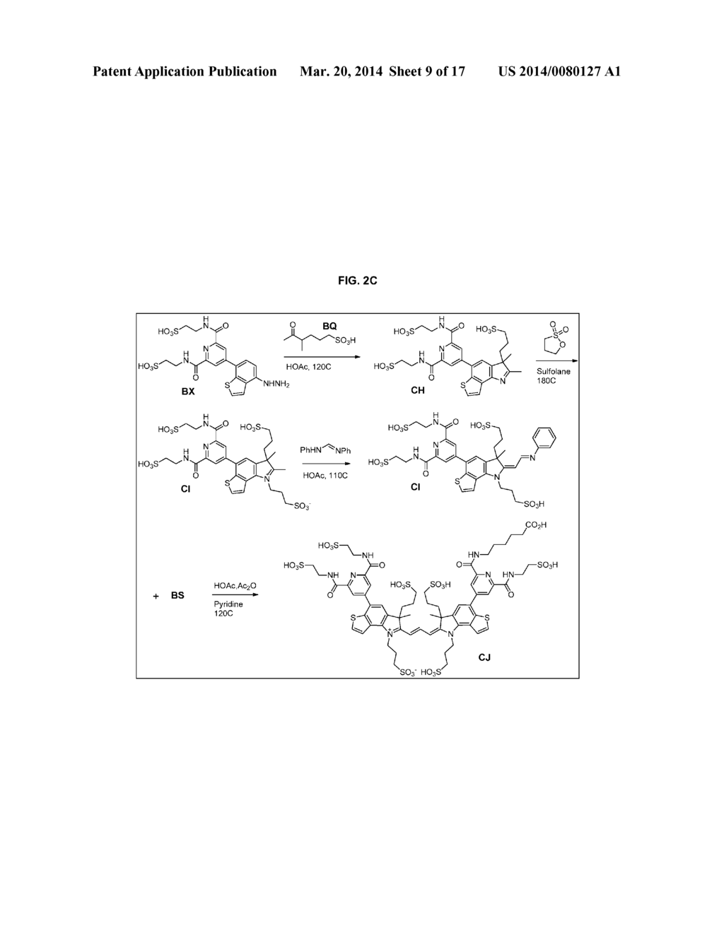 HETEROARYLCYANINE DYES - diagram, schematic, and image 10