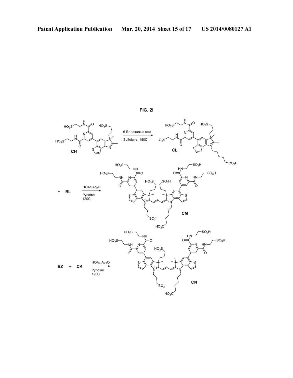 HETEROARYLCYANINE DYES - diagram, schematic, and image 16