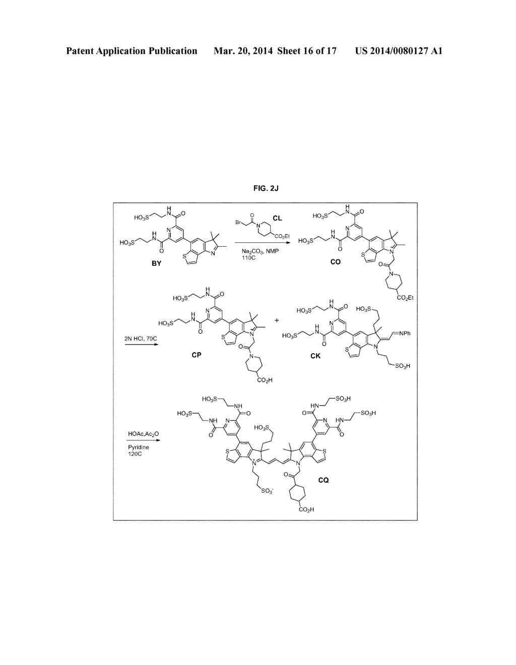 HETEROARYLCYANINE DYES - diagram, schematic, and image 17