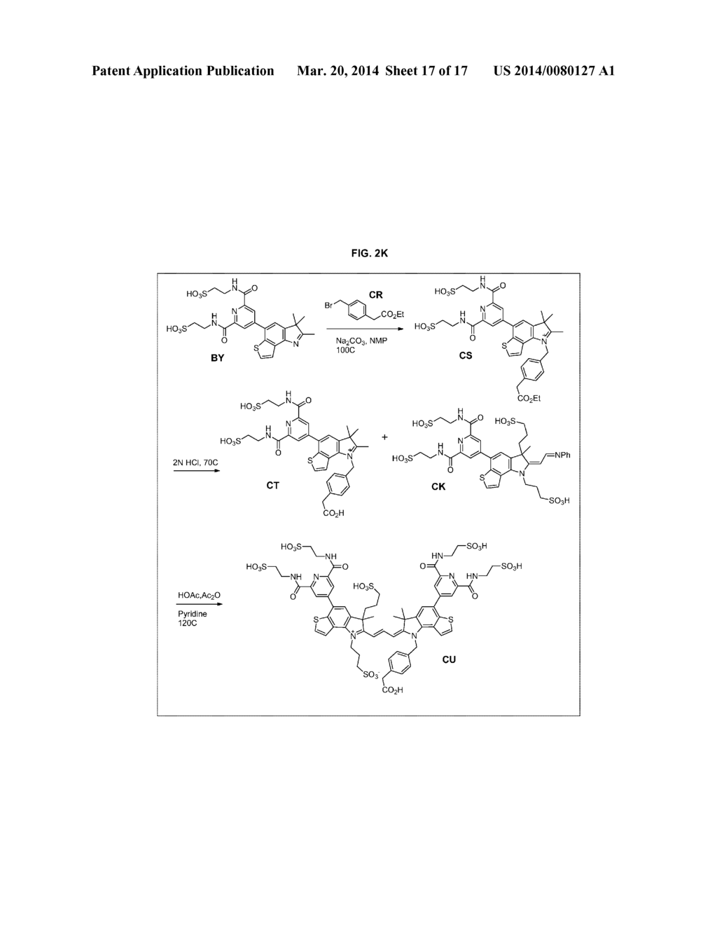 HETEROARYLCYANINE DYES - diagram, schematic, and image 18