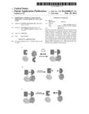 MODIFIABLE CHEMICAL INDUCERS OF PROXIMITY AND METHODS OF USING THE SAME diagram and image