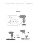 MODIFIABLE CHEMICAL INDUCERS OF PROXIMITY AND METHODS OF USING THE SAME diagram and image