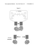 MODIFIABLE CHEMICAL INDUCERS OF PROXIMITY AND METHODS OF USING THE SAME diagram and image