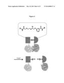 MODIFIABLE CHEMICAL INDUCERS OF PROXIMITY AND METHODS OF USING THE SAME diagram and image