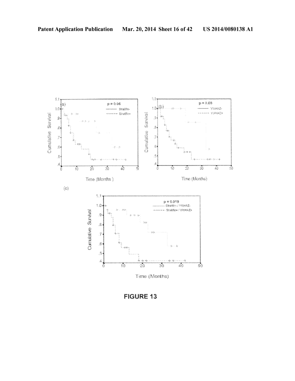 Biomarkers for Head-and-Neck Cancers and Precancers - diagram, schematic, and image 17