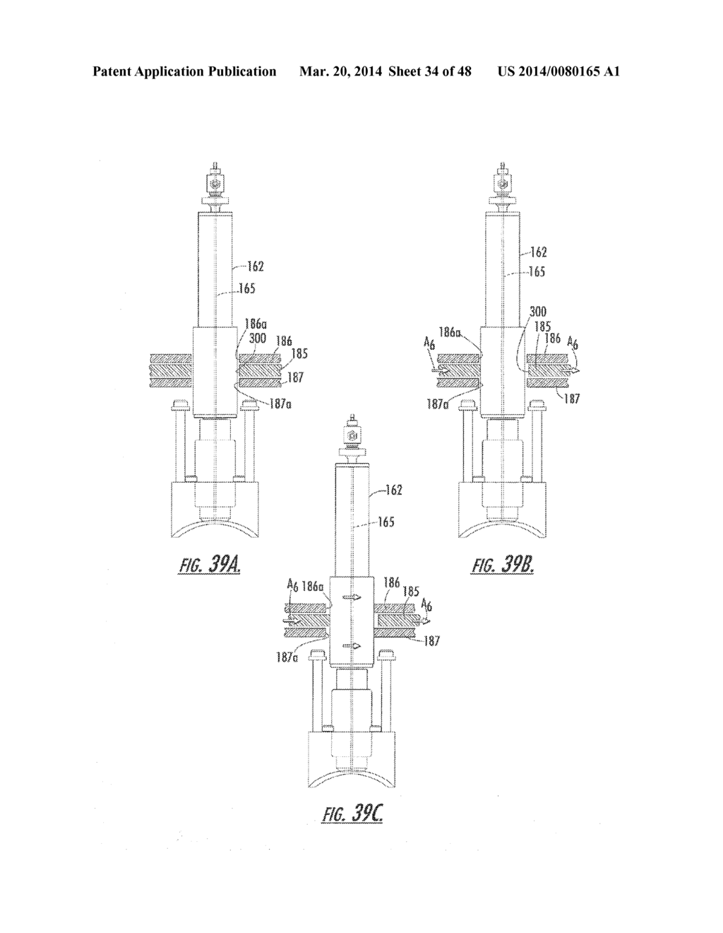 METHODS AND APPARATUS FOR SELECTIVELY PROCESSING EGGS HAVING IDENTIFIED     CHARACTERISTICS - diagram, schematic, and image 35