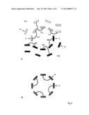 ANTICALINS diagram and image