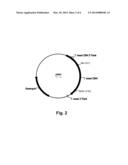 Cellulose Binding Domain Variants and Polynucleotides Encoding Same diagram and image