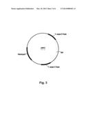 Cellulose Binding Domain Variants and Polynucleotides Encoding Same diagram and image