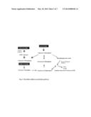 NOVEL ISOLATED BACTERIAL STRAIN OF GLUCONACETOBACTER OBOEDIENS AND AN     OPTIMIZED ECONOMIC PROCESS FOR MICROBIAL CELLULOSE PRODUCTION THEREFROM diagram and image