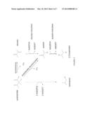 YEAST MICROORGANISMS WITH REDUCED 2,3-BUTANEDIOL ACCUMULATION FOR IMPROVED     PRODUCTION OF FUELS, CHEMICALS, AND AMINO ACIDS diagram and image