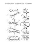 MOLECULAR ZIPPER TWEEZERS AND SPRING DEVICES diagram and image