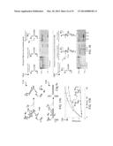 MOLECULAR ZIPPER TWEEZERS AND SPRING DEVICES diagram and image