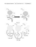 MOLECULAR ZIPPER TWEEZERS AND SPRING DEVICES diagram and image