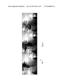 ULTRASOUND AND ACOUSTOPHORESIS FOR COLLECTION AND PROCESSING OF OLEAGINOUS     MICROORGANISMS diagram and image