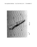 ULTRASOUND AND ACOUSTOPHORESIS FOR COLLECTION AND PROCESSING OF OLEAGINOUS     MICROORGANISMS diagram and image